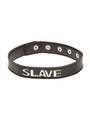 Talk Dirty To Me 'SLAVE' BDSM Choker