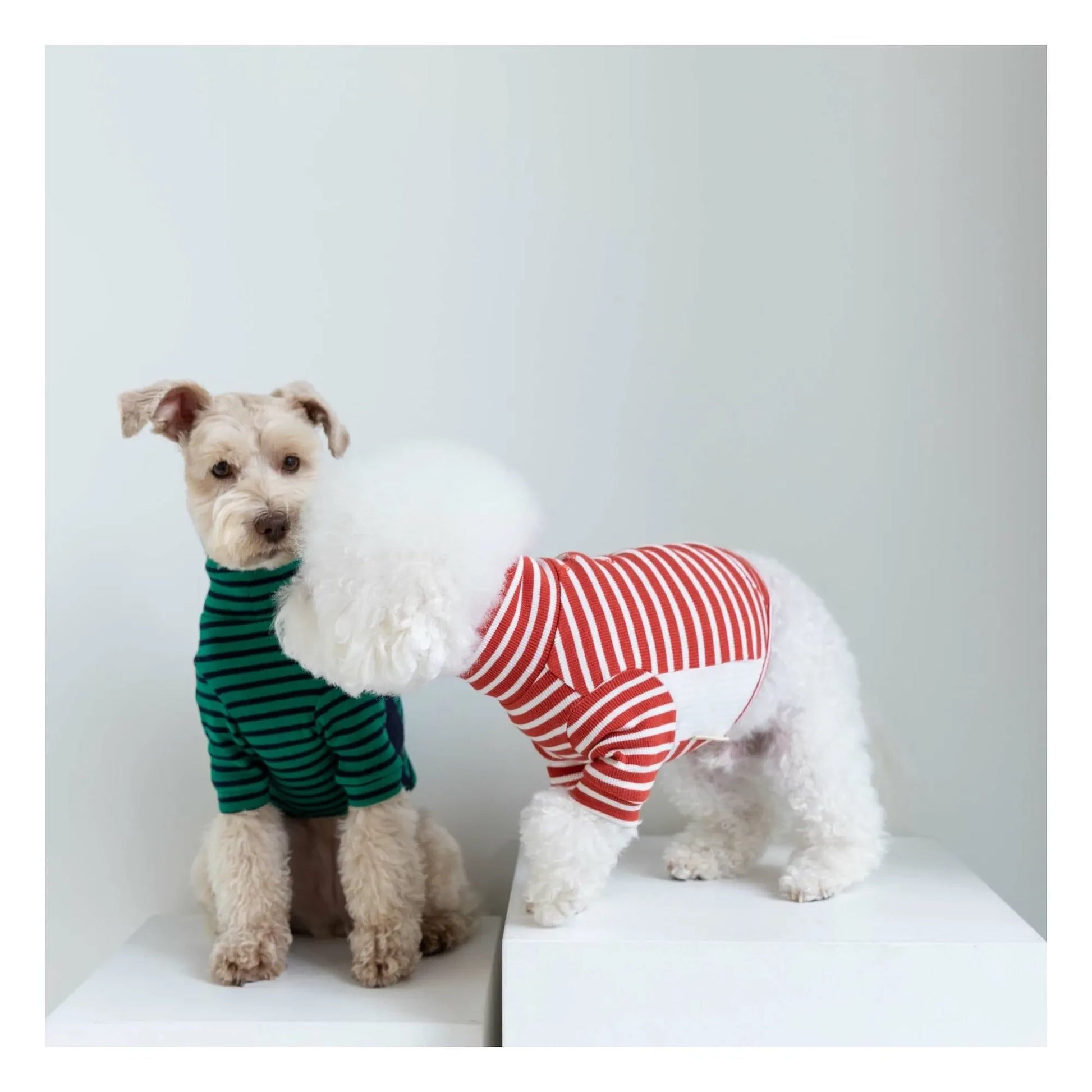 The Furry Folks - Striped sweater | Green