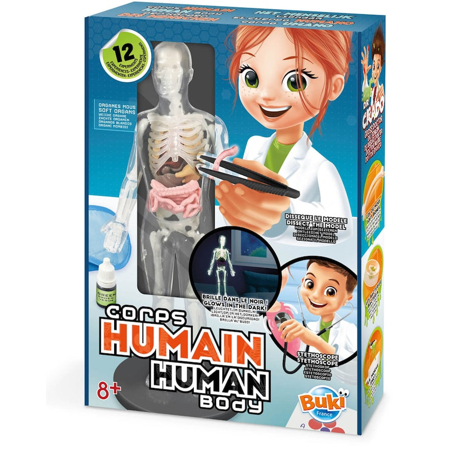 Human Body Toy