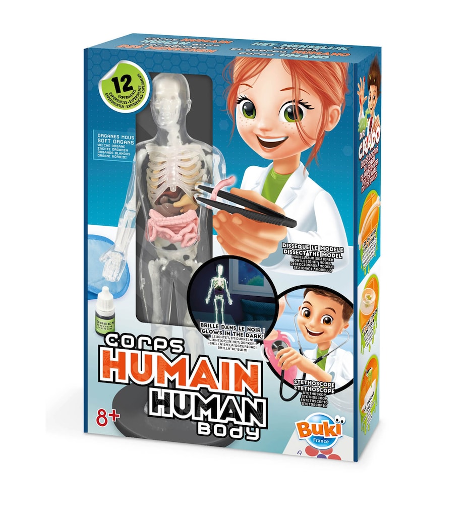 Human Body Toy