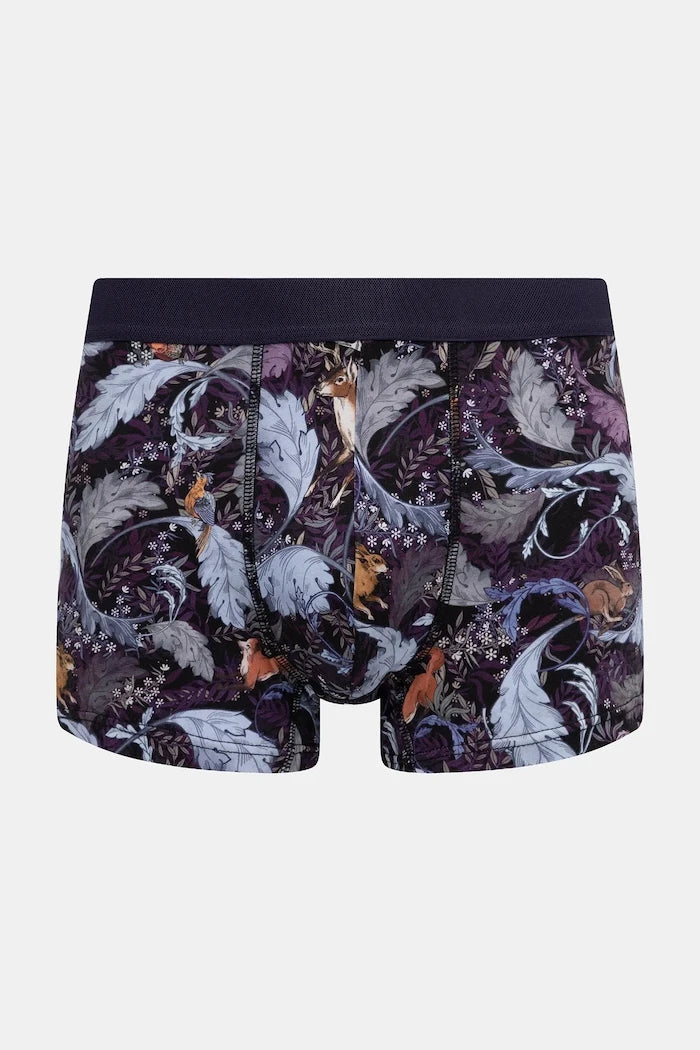Medicine Boxer (2'li)