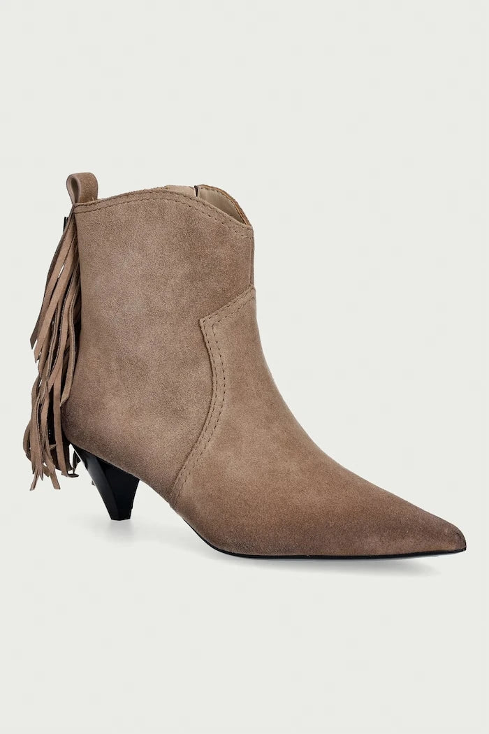 Pinko Didi 01 düşük topuklu kadın süet bot