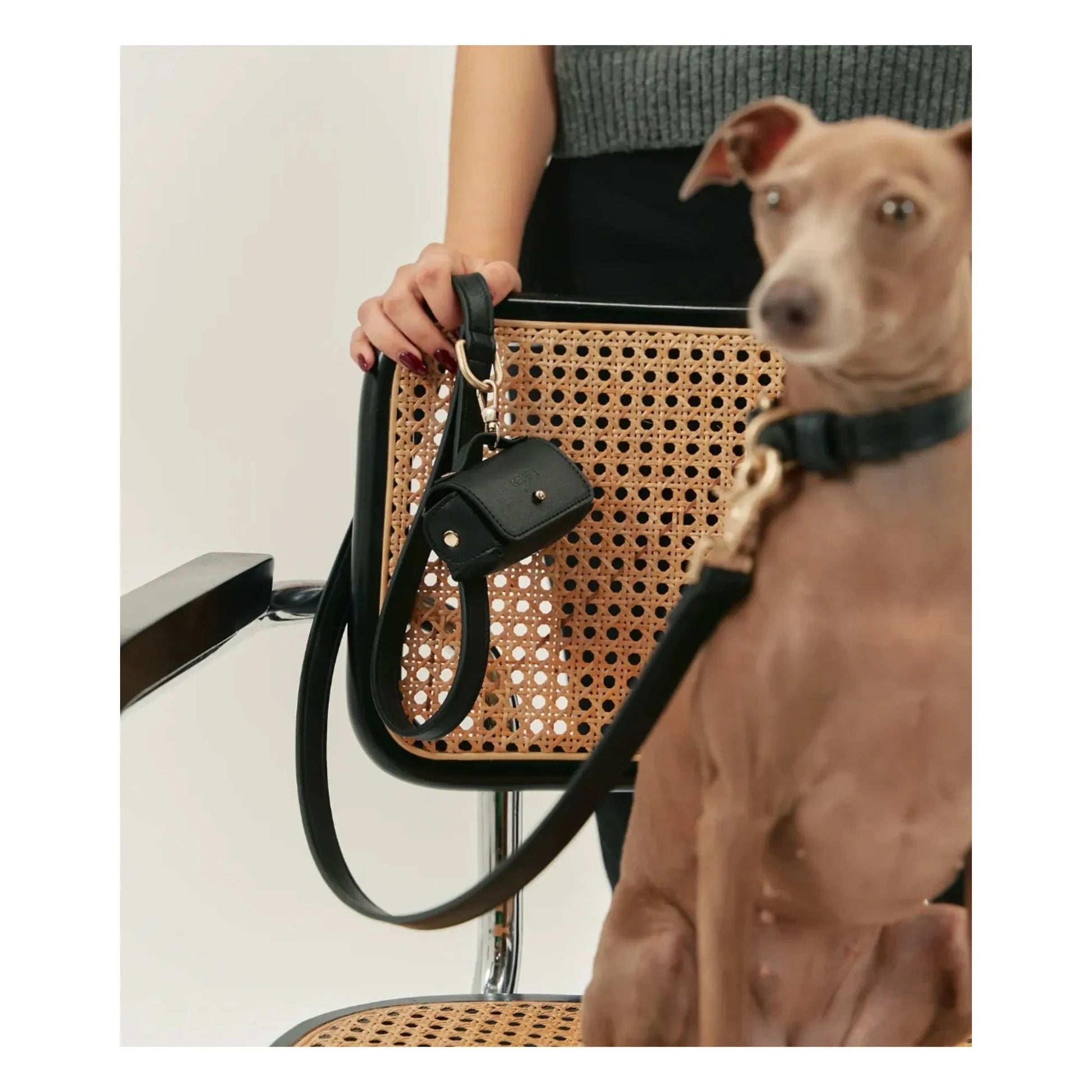 Cafide - Vegan leather dog leash | Black