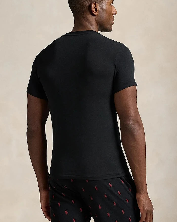 Polo Ralph Lauren Tişört (2 Adet)