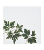 Set of 6 Linen Gastronomic Herb Garden Napkins (50cm x 50cm)