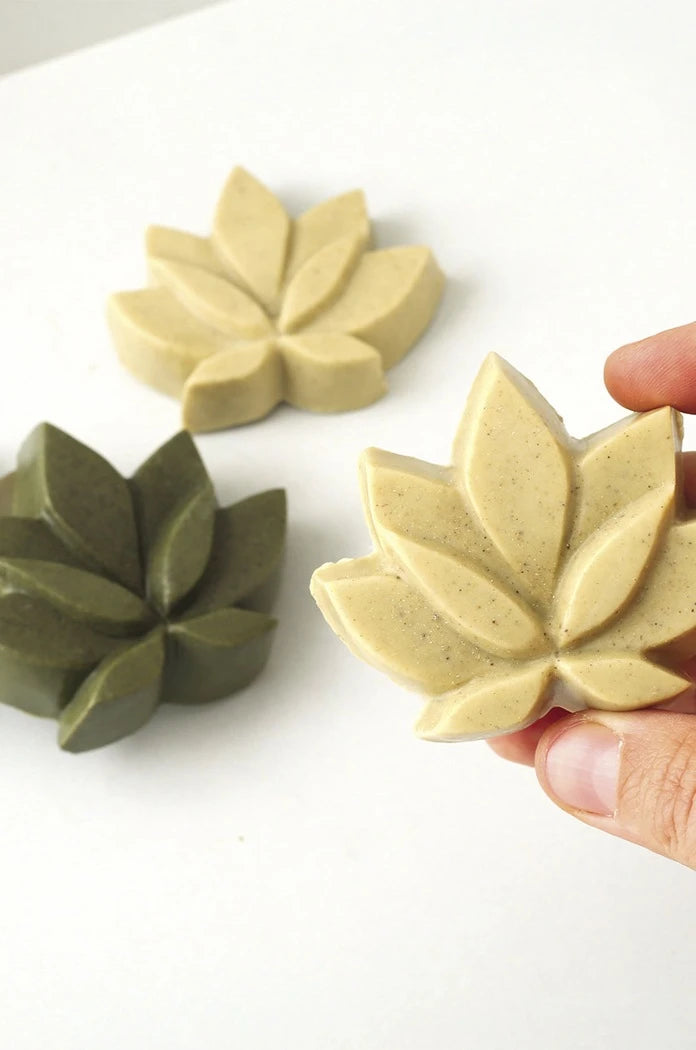 Graine Creative DIY Katı Şampuan Seti Solid Shampoos