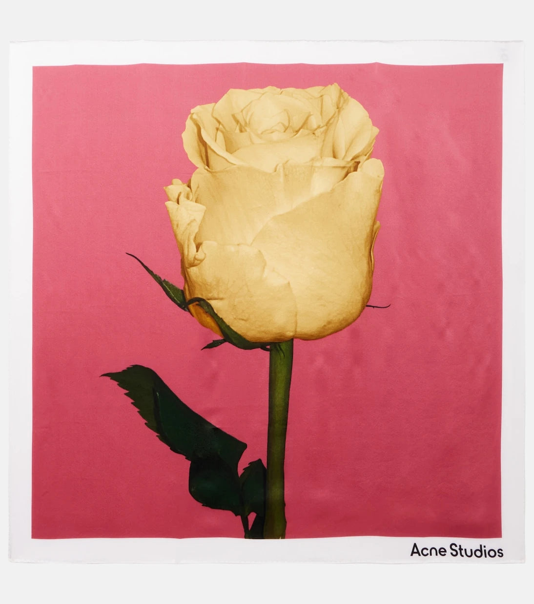 Acne Studios - Floral silk satin scarf