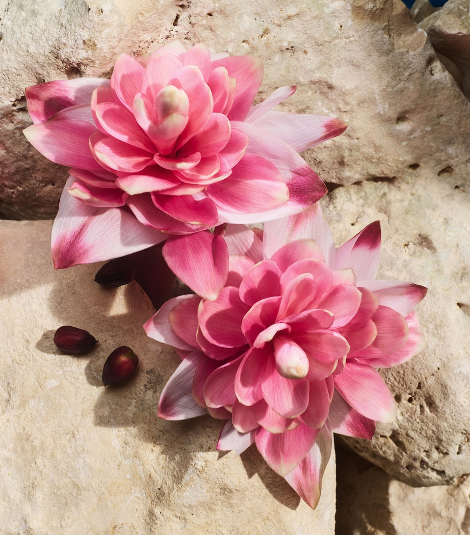 Dolce & Gabbana Light Blue Capri in Love Eau de Parfum (100ml)