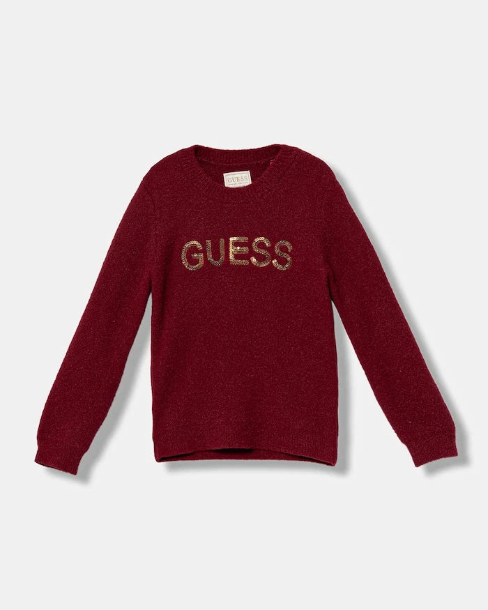 Guess Çocuk Kazak