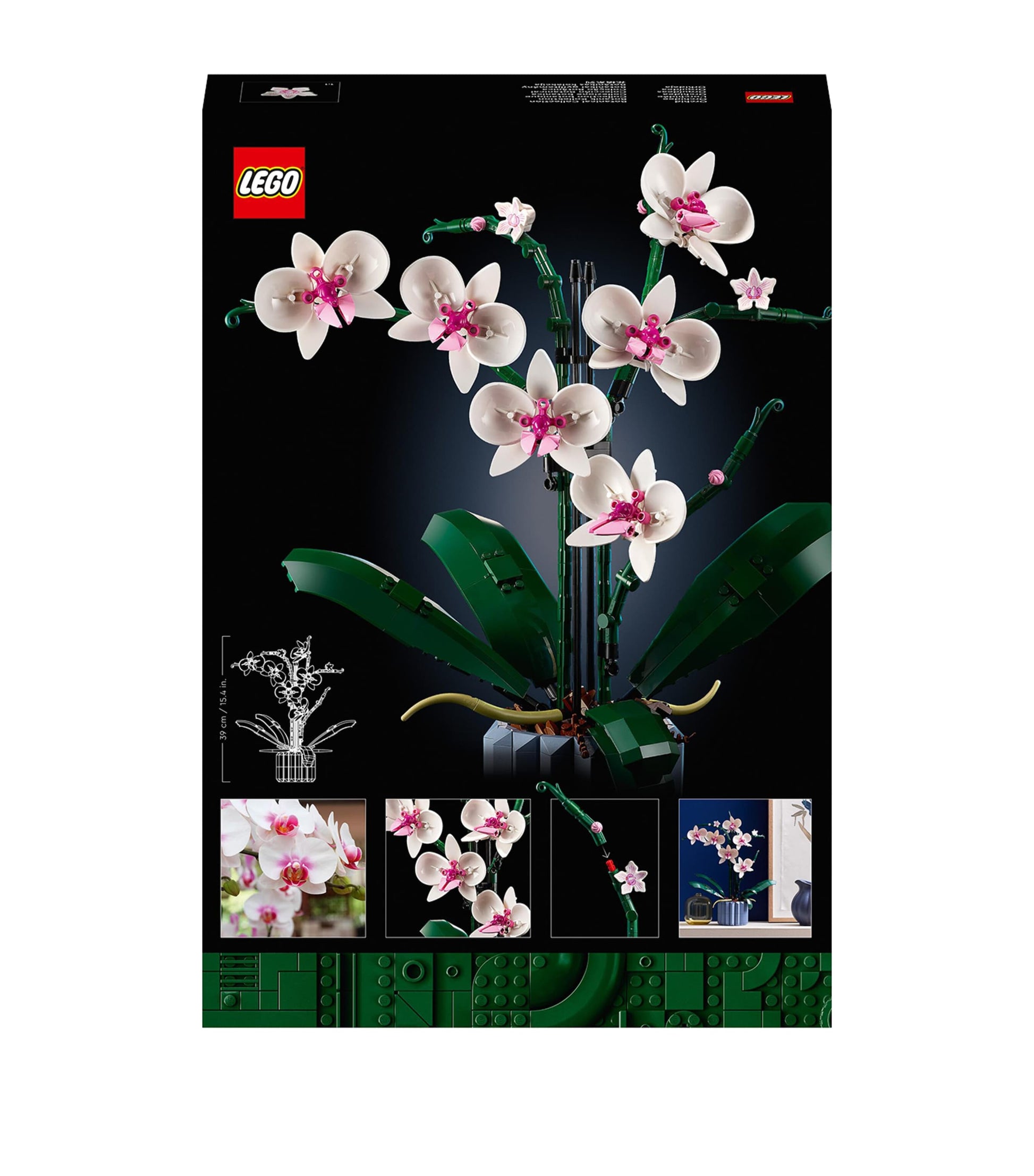 Orchid Display 10311