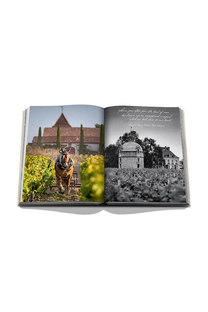 Assouline Wine & Travel France by Enrico Bernardo, English