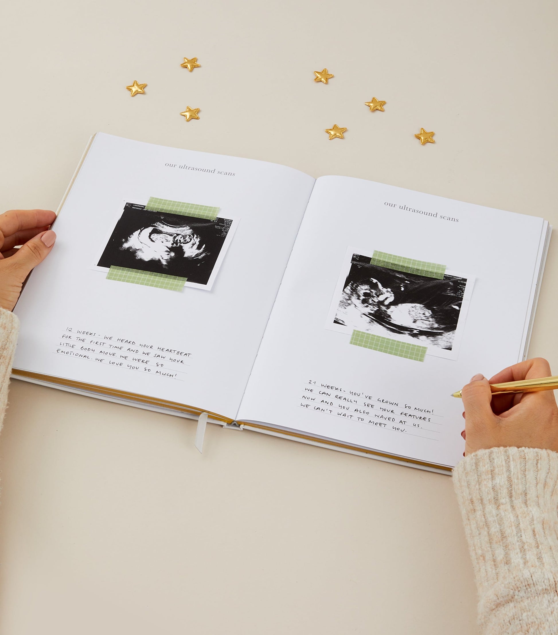 Blush and Gold Safari My Pregnancy Journal