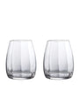 Set of 2 Elegance Optic Tumblers