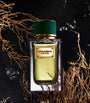 Dolce & Gabbana Velvet Vetiver Eau de Parfum (100ml)