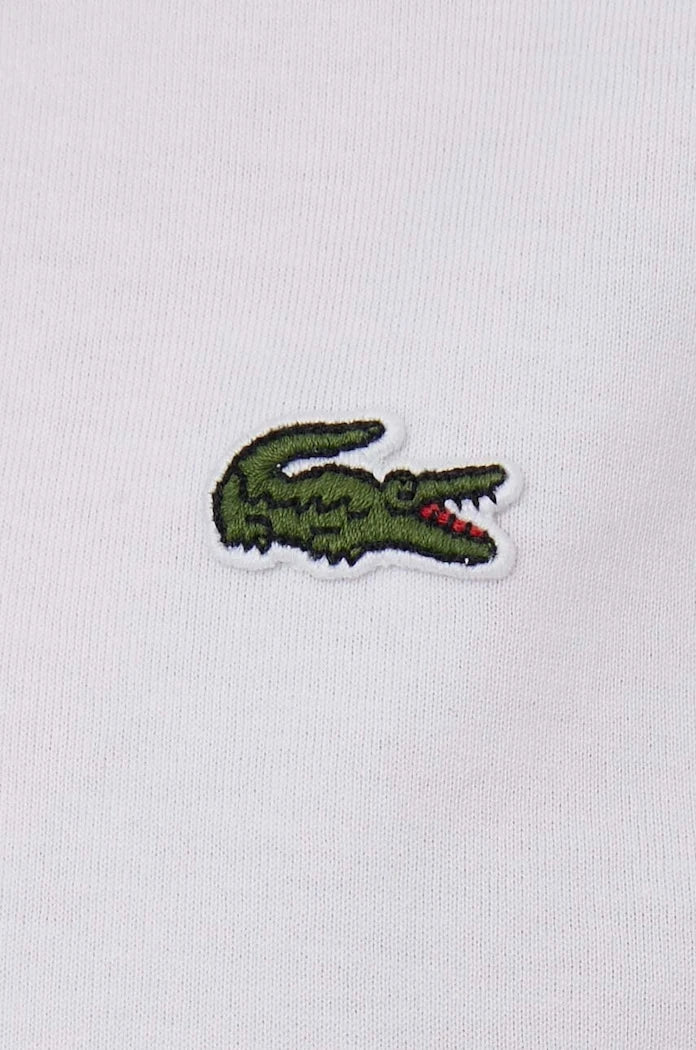 Lacoste basic kadın pamuklu tişört