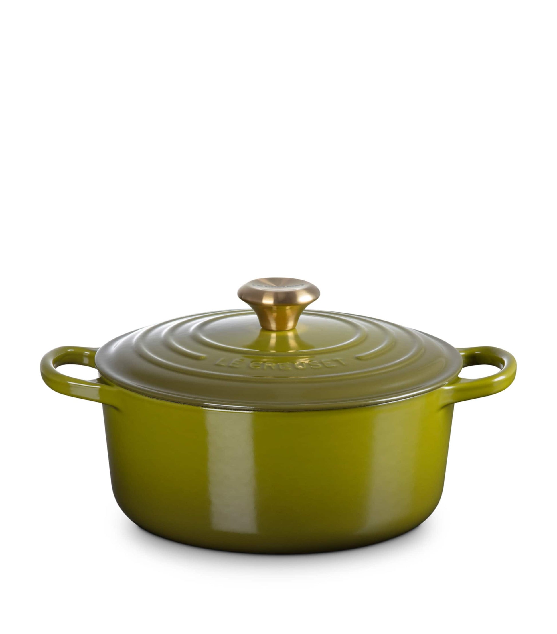 Enamelled Cast Iron Round Casserole Dish (24cm)