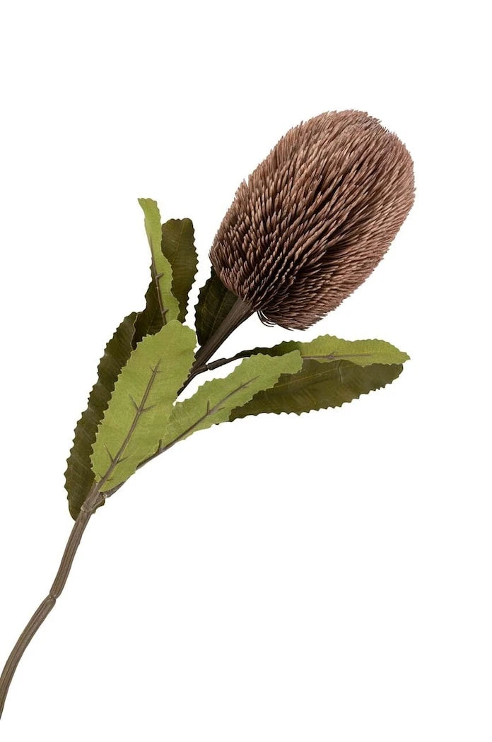 Изкуствени цветя House Nordic King Protea Bouquet
