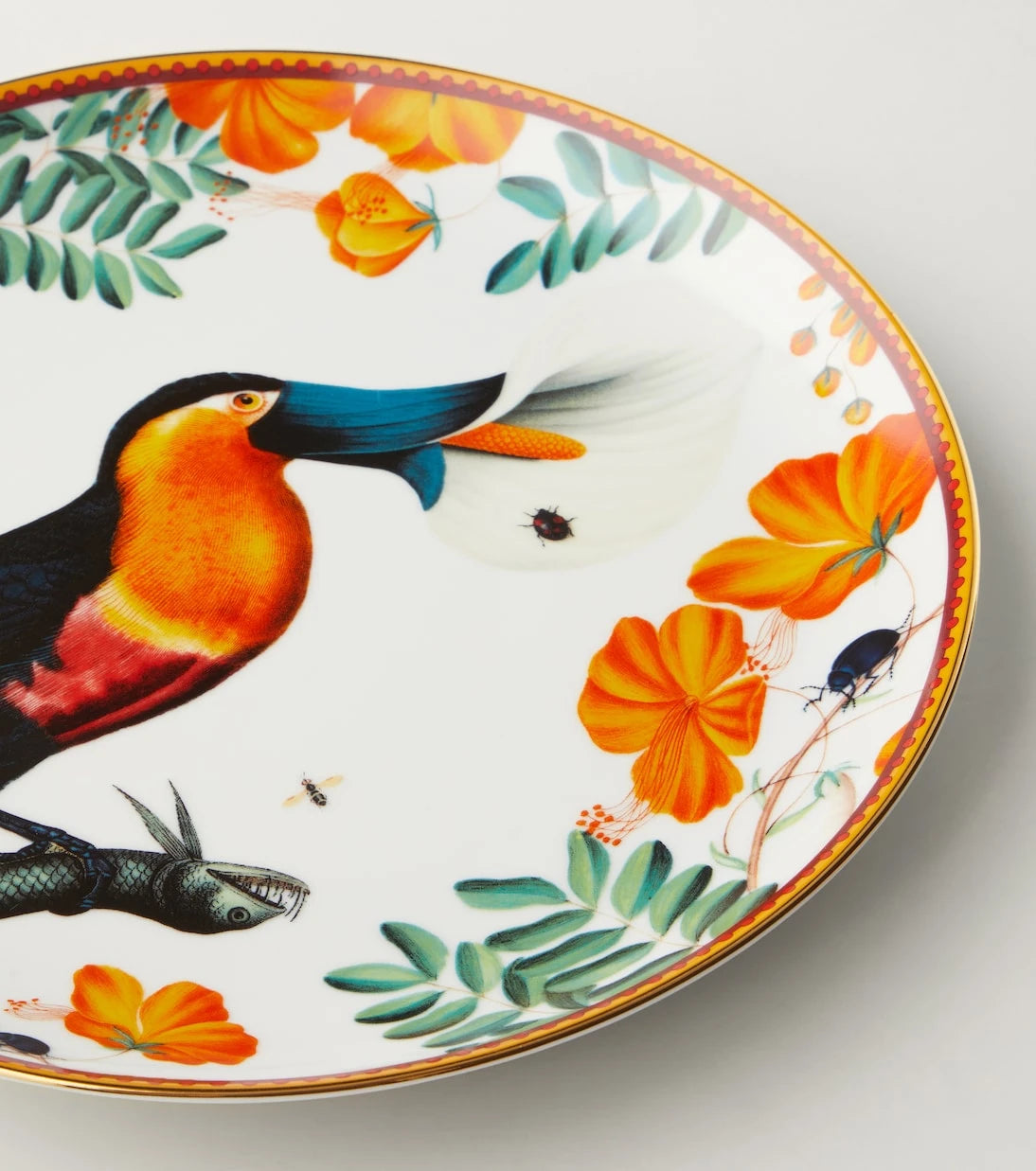 La DoubleJ - Floroucan porcelain decorative plate