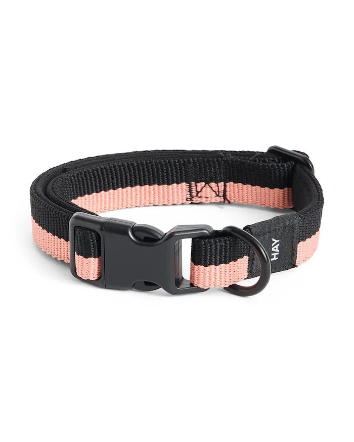Köpek tasması HAY S/M 2 x 25-45 cm