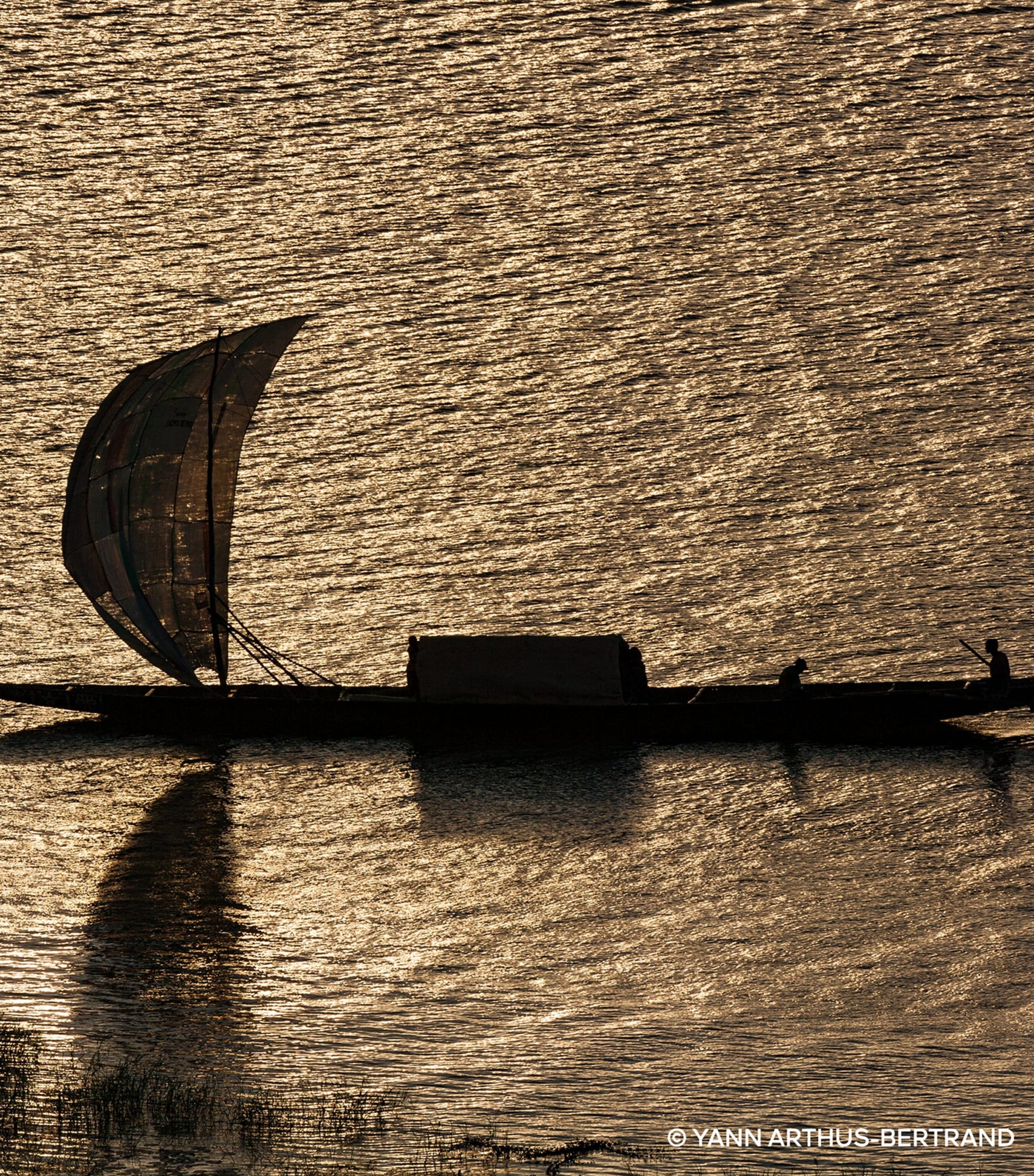 Absolus Allegoria Rose Amira Hair Mist (40ml)