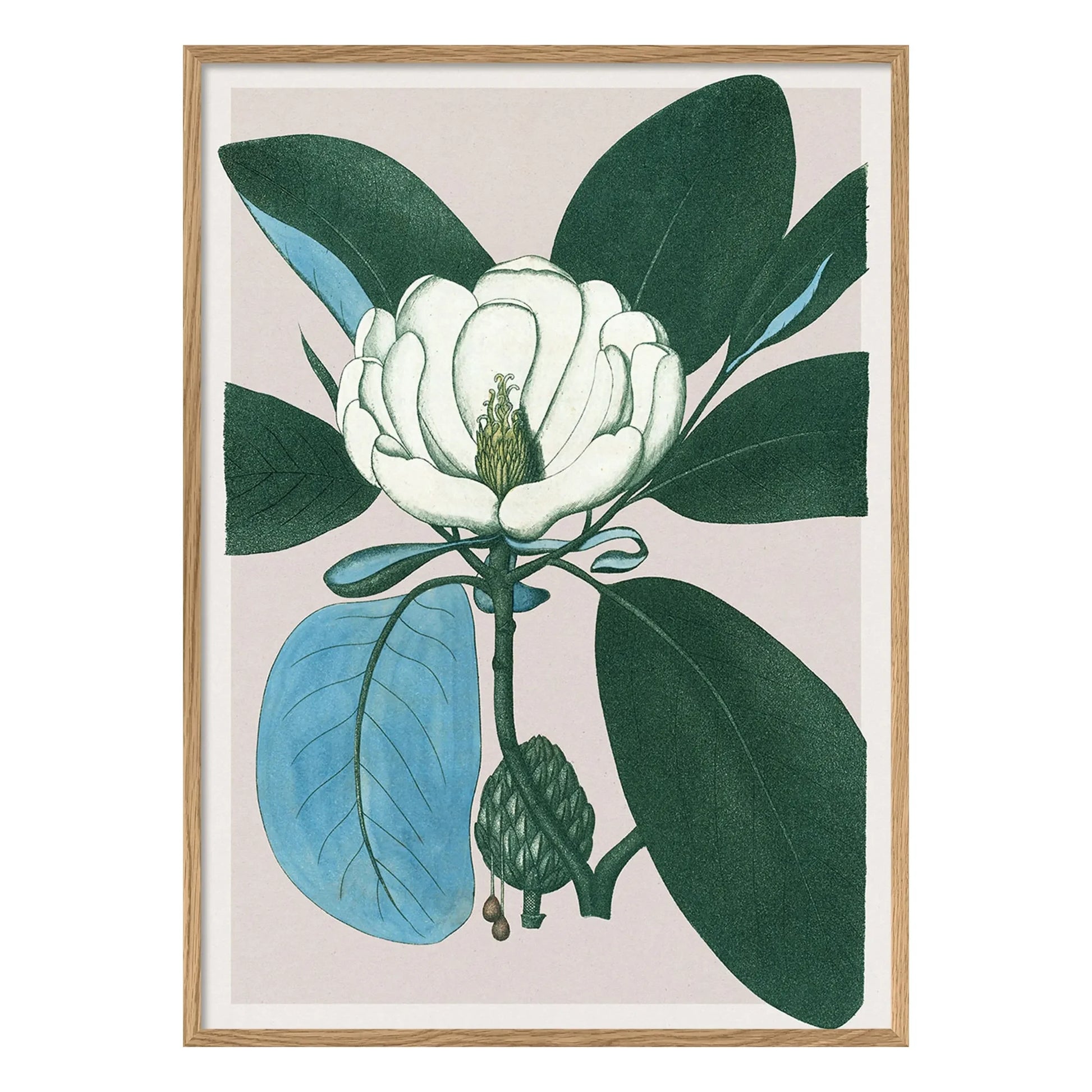 The Dybdahl Co. - Magnolia Glauca poster