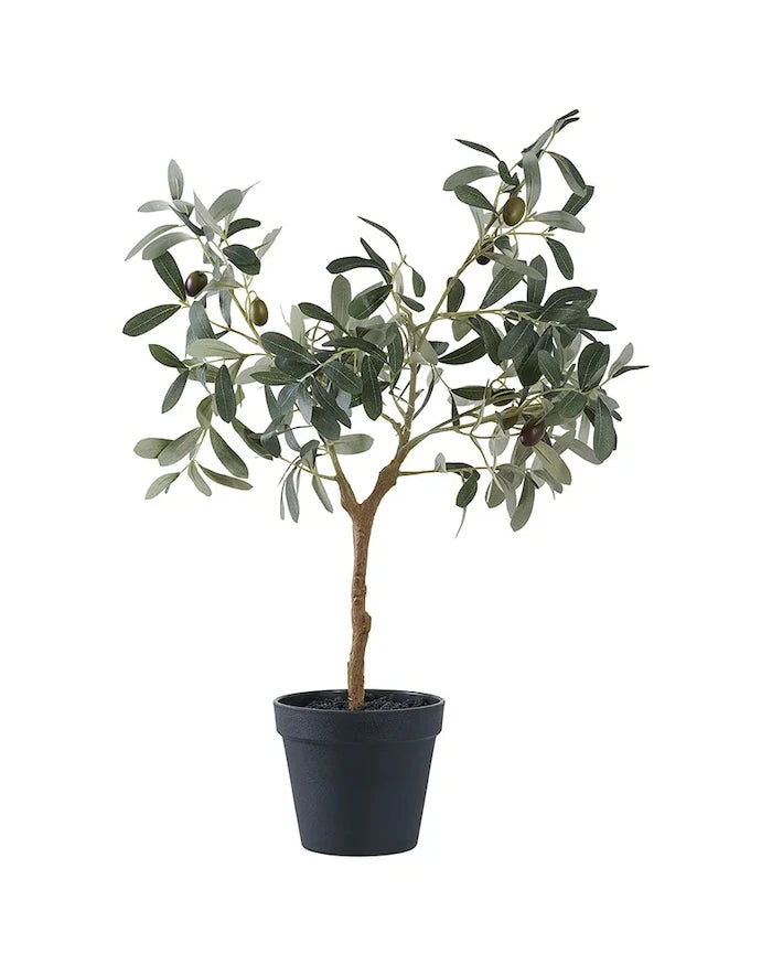 Saksıda Yapay Bitki House Nordic Olive Tree