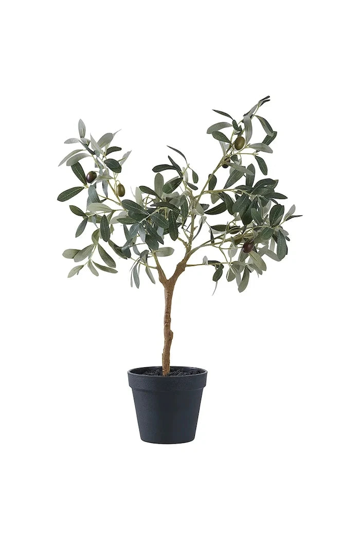 Saksıda Yapay Bitki House Nordic Olive Tree