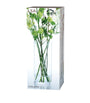 Tall Glass Column Vase (42cm)