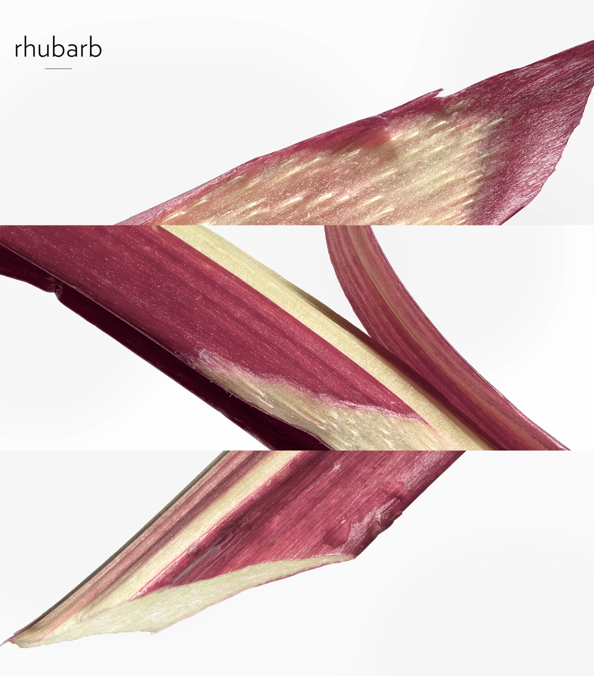 HERMÈS Eau De Rhubarbe Ecarlate Eau de Cologne Refill Spray (100ml)