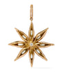 Yellow Gold and Diamond Mythology Star Anise Charm Pendant
