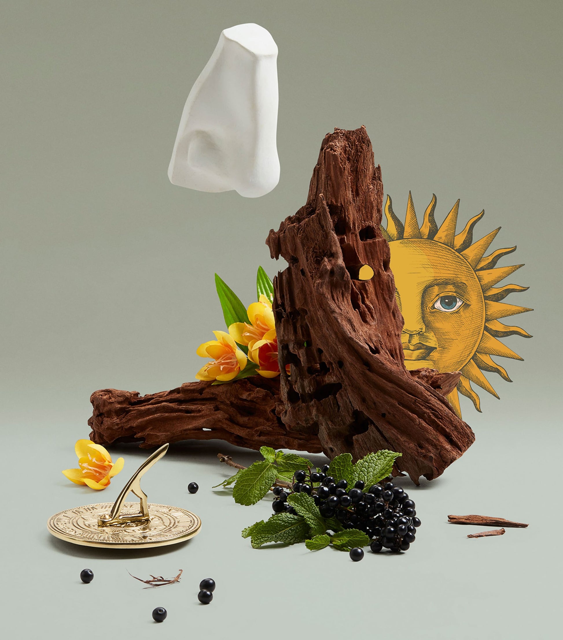 Solaris Eau de Parfum (100ml)