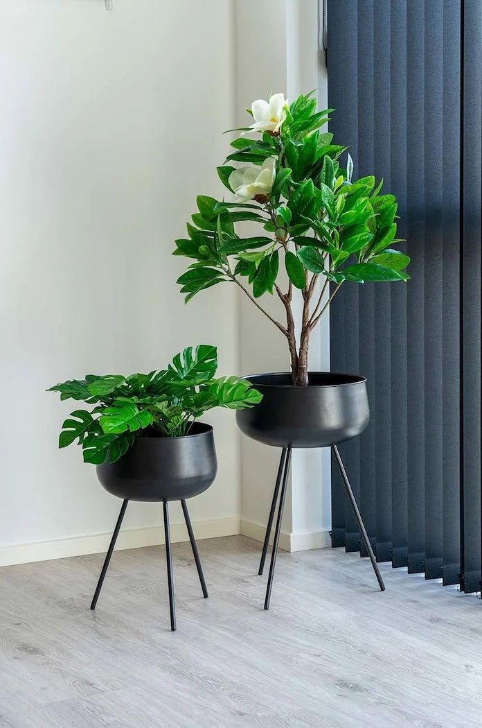 Saksıda Yapay Bitki House Nordic Monstera