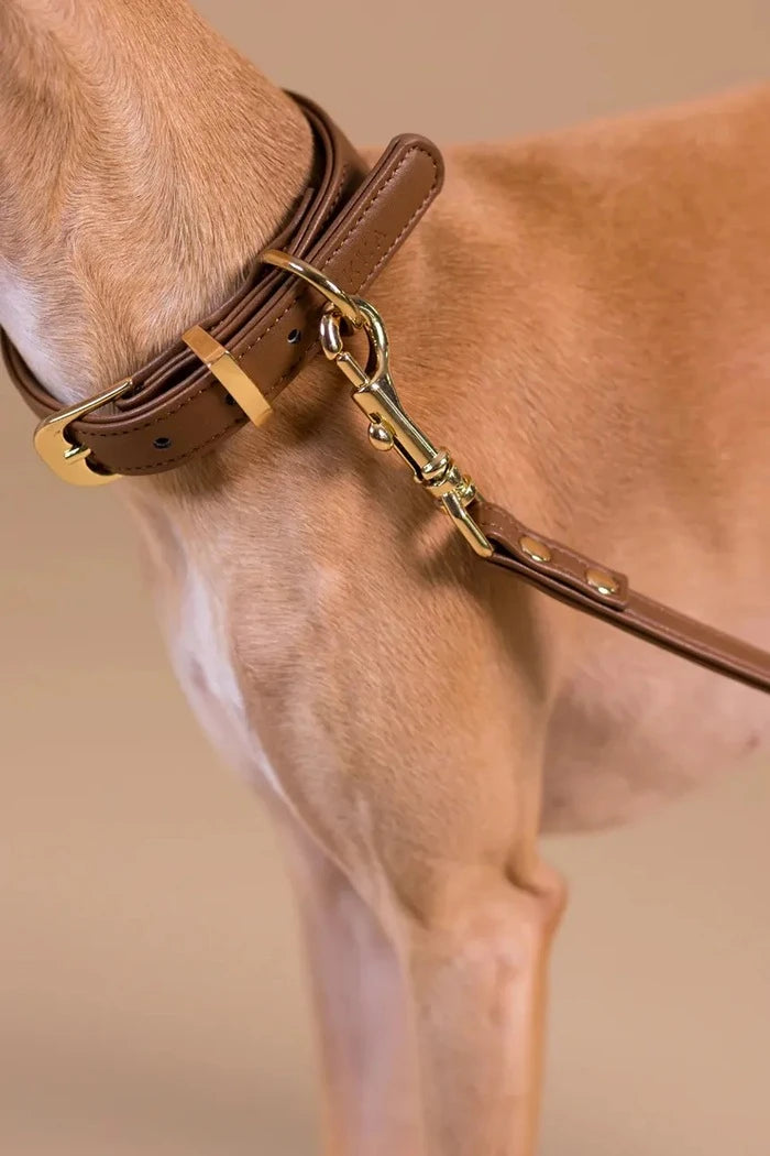PAIKKA Köpek Tasması XS