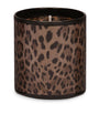 Dolce & Gabbana Casa Leopardo Patchouli Candle (380g)
