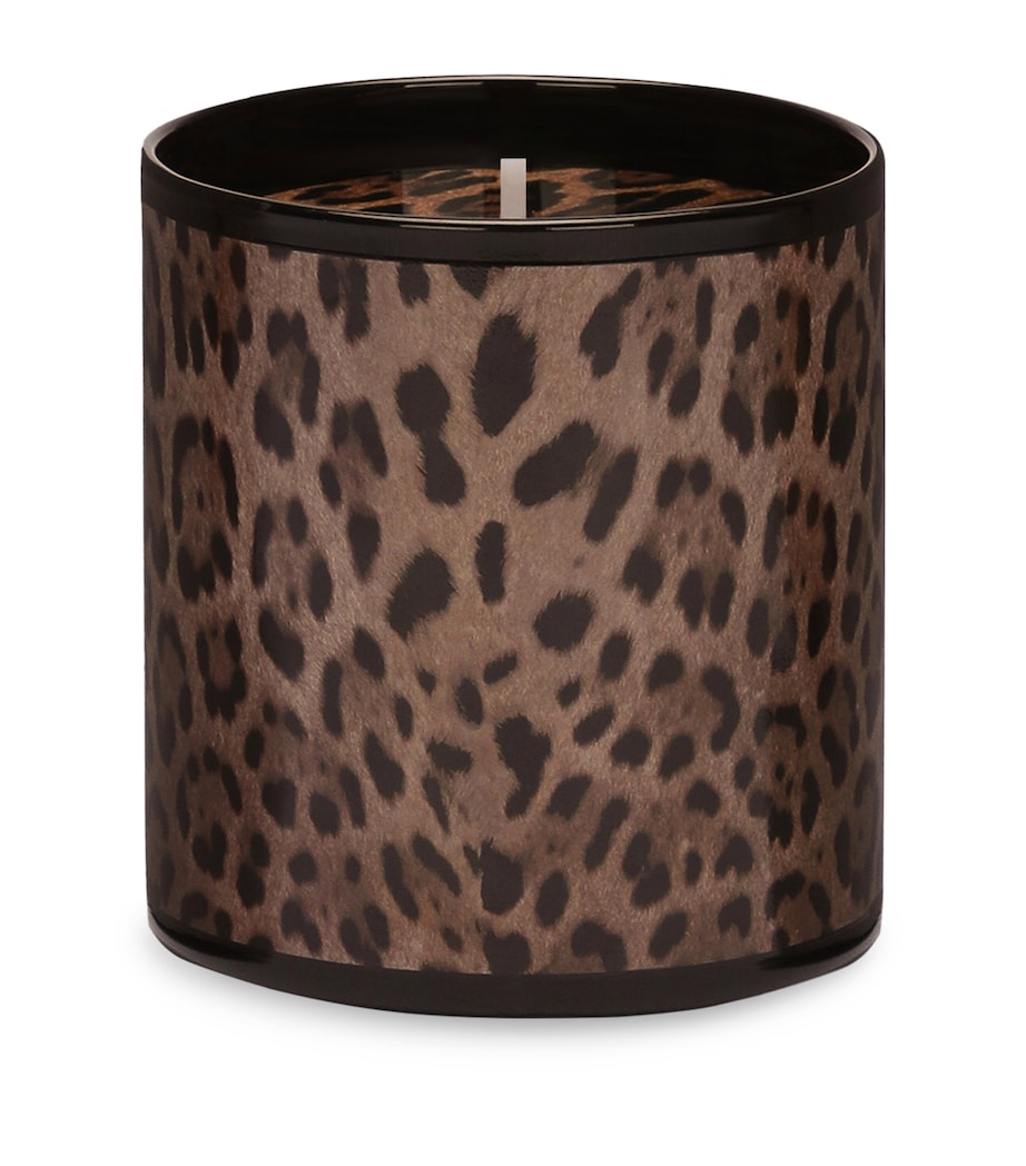 Dolce & Gabbana Casa Leopardo Patchouli Candle (380g)