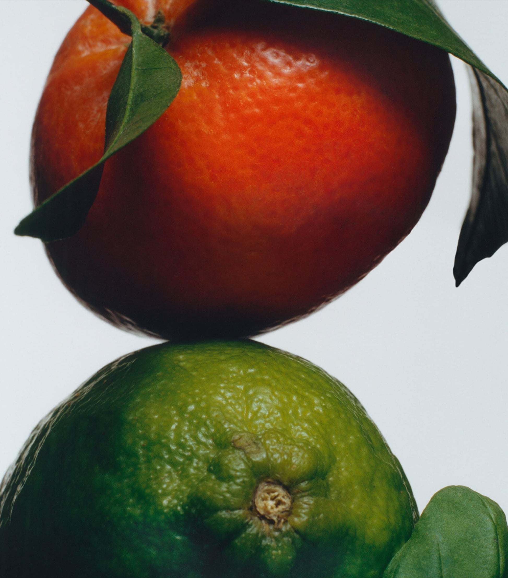 Lime Basil & Mandarin Room Spray (100ml)