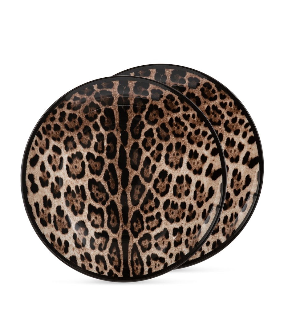 Dolce & Gabbana Casa Set of Two Leopard Print Dinner Plates (26cm)