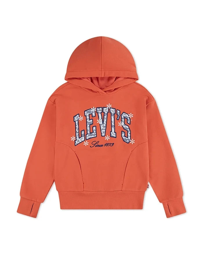 Levi's çocuk kapüşonlu pamuklu LOGO HOODIE