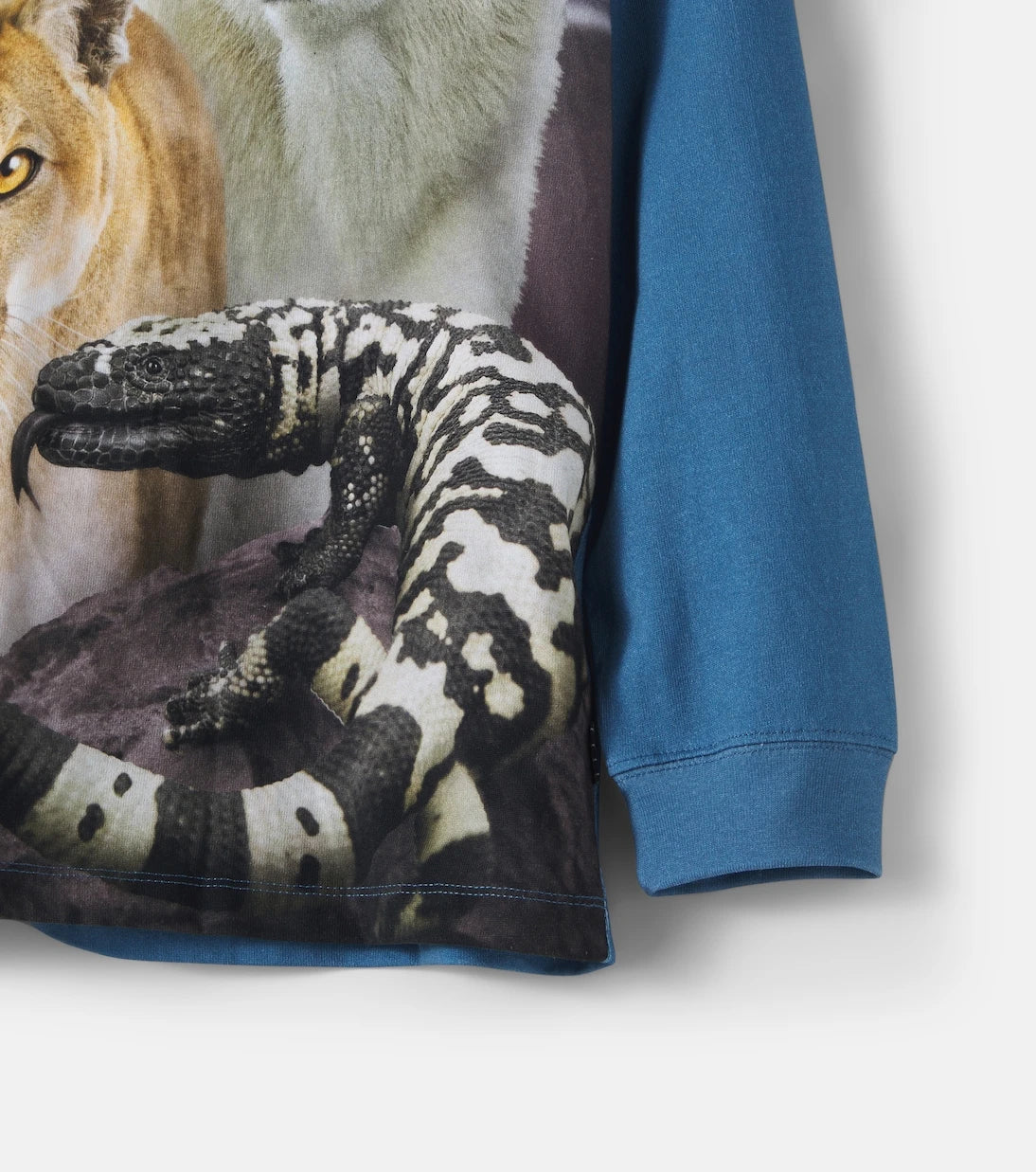 Molo - Rube cotton jersey T-shirt