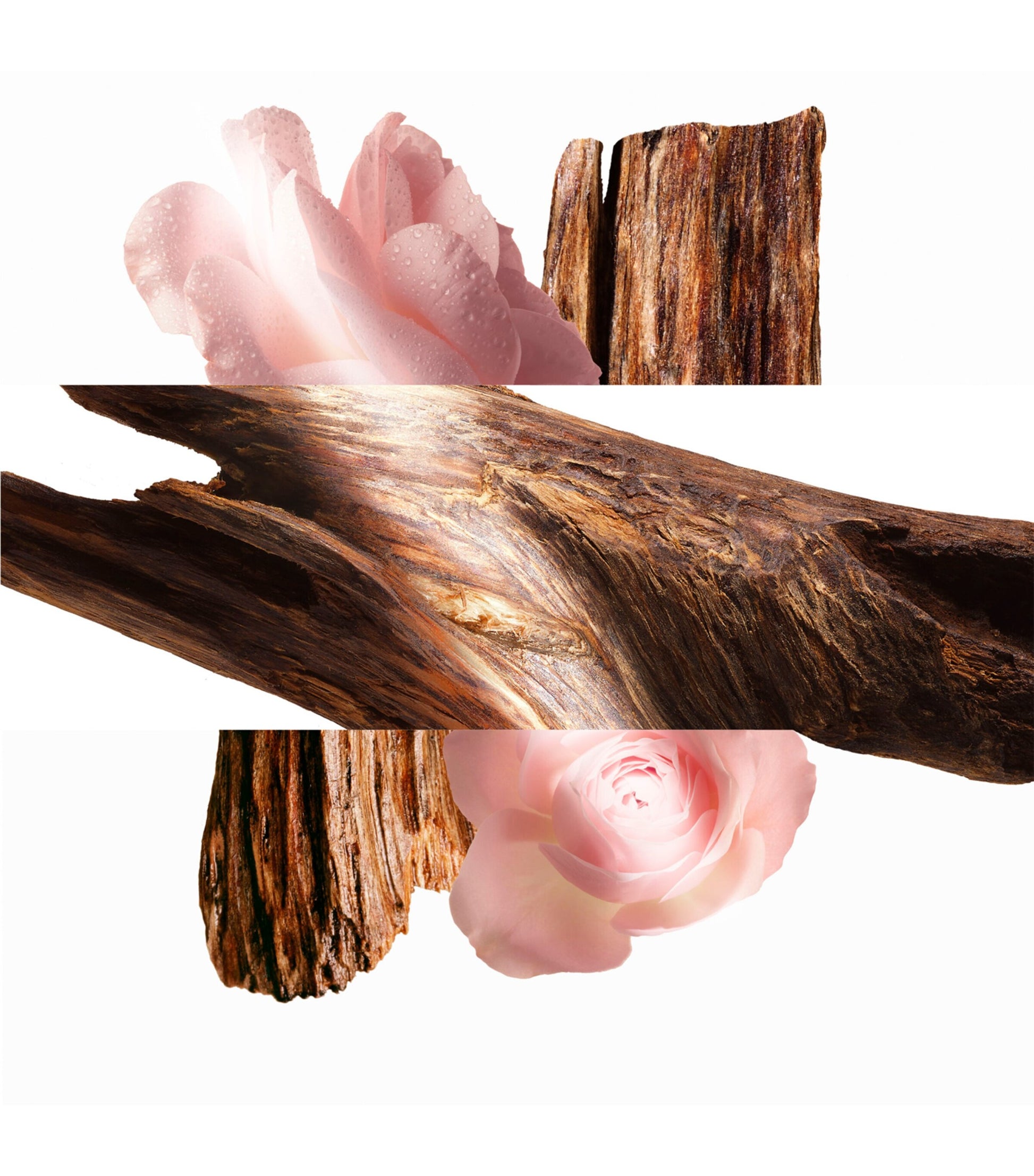 HERMÈS Hermessence Oud Alezan Body Cream (200ml)