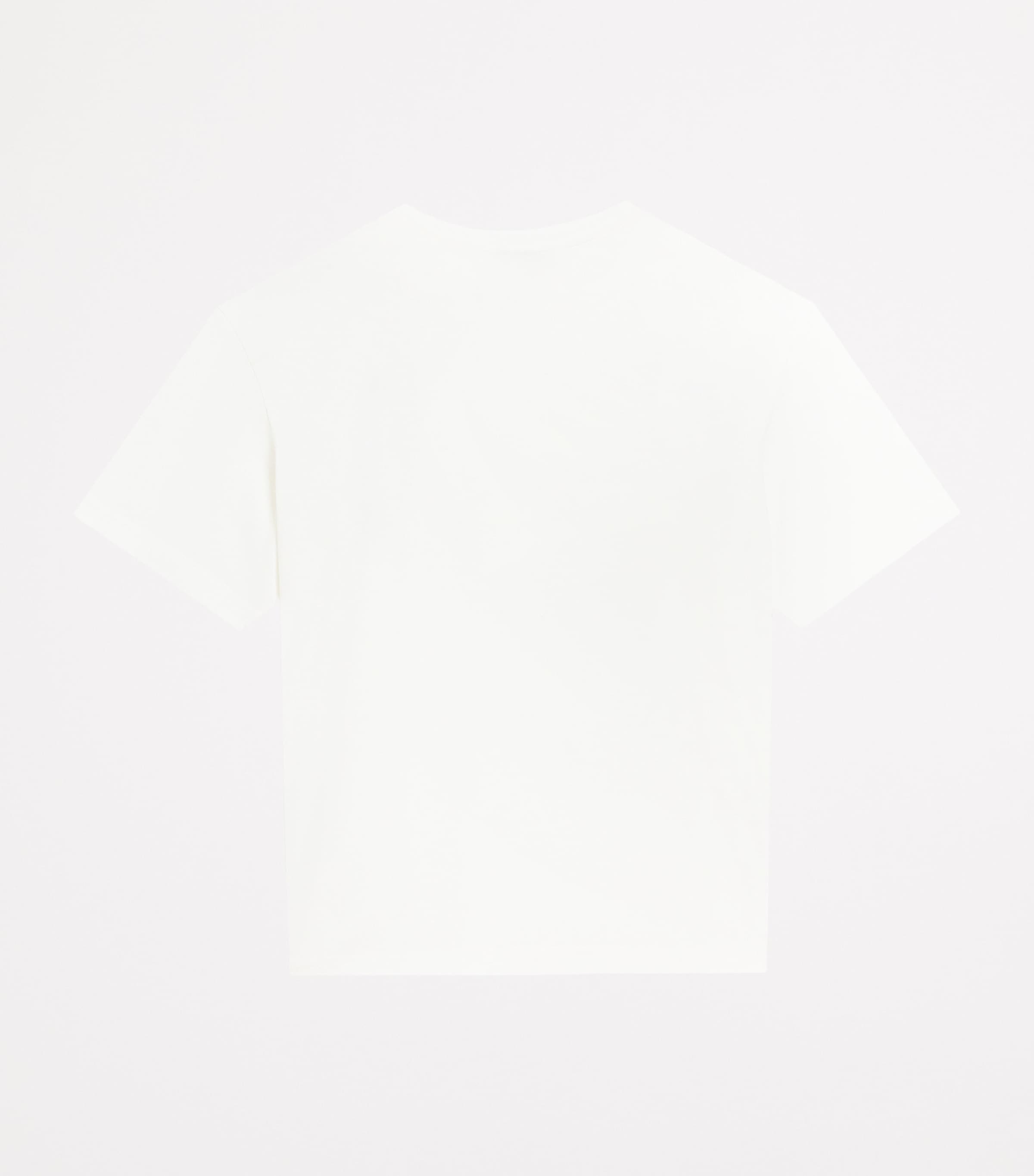 Dolce & Gabbana Kids Cotton Logo Tag T-Shirt (8-12+ Years)