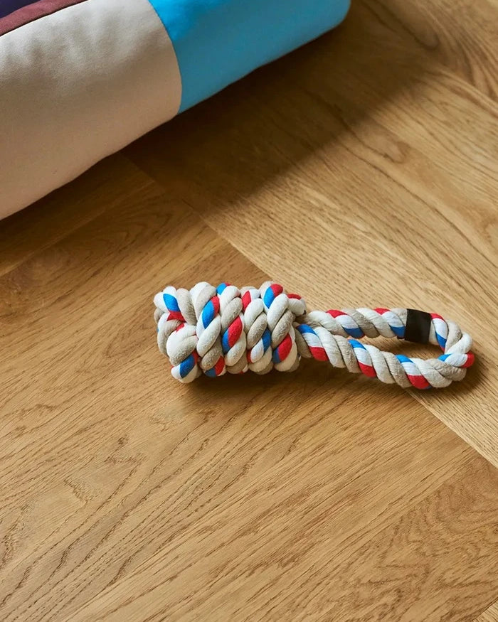 HAY Köpek Oyuncağı 8 x 29 cm