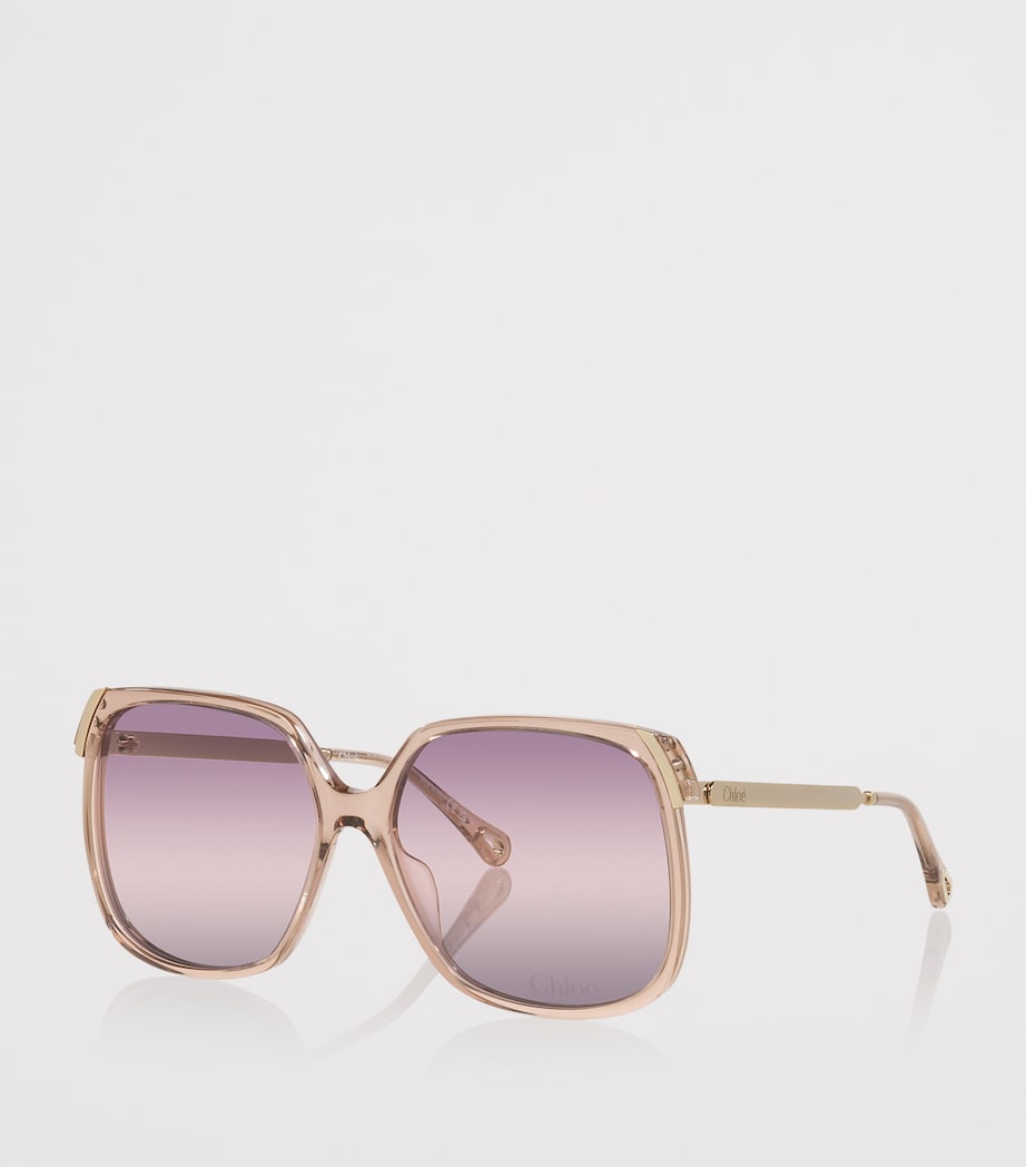 Brown CH0286S Rectangle Sunglasses