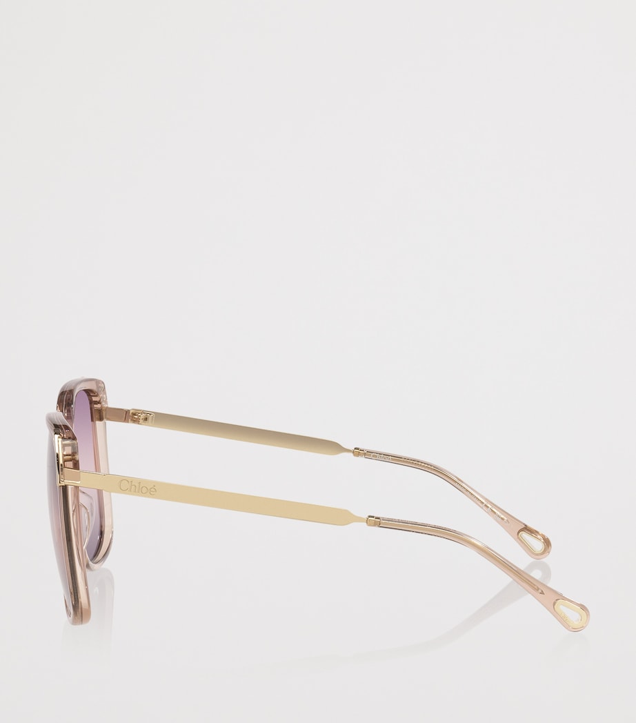 Brown CH0286S Rectangle Sunglasses