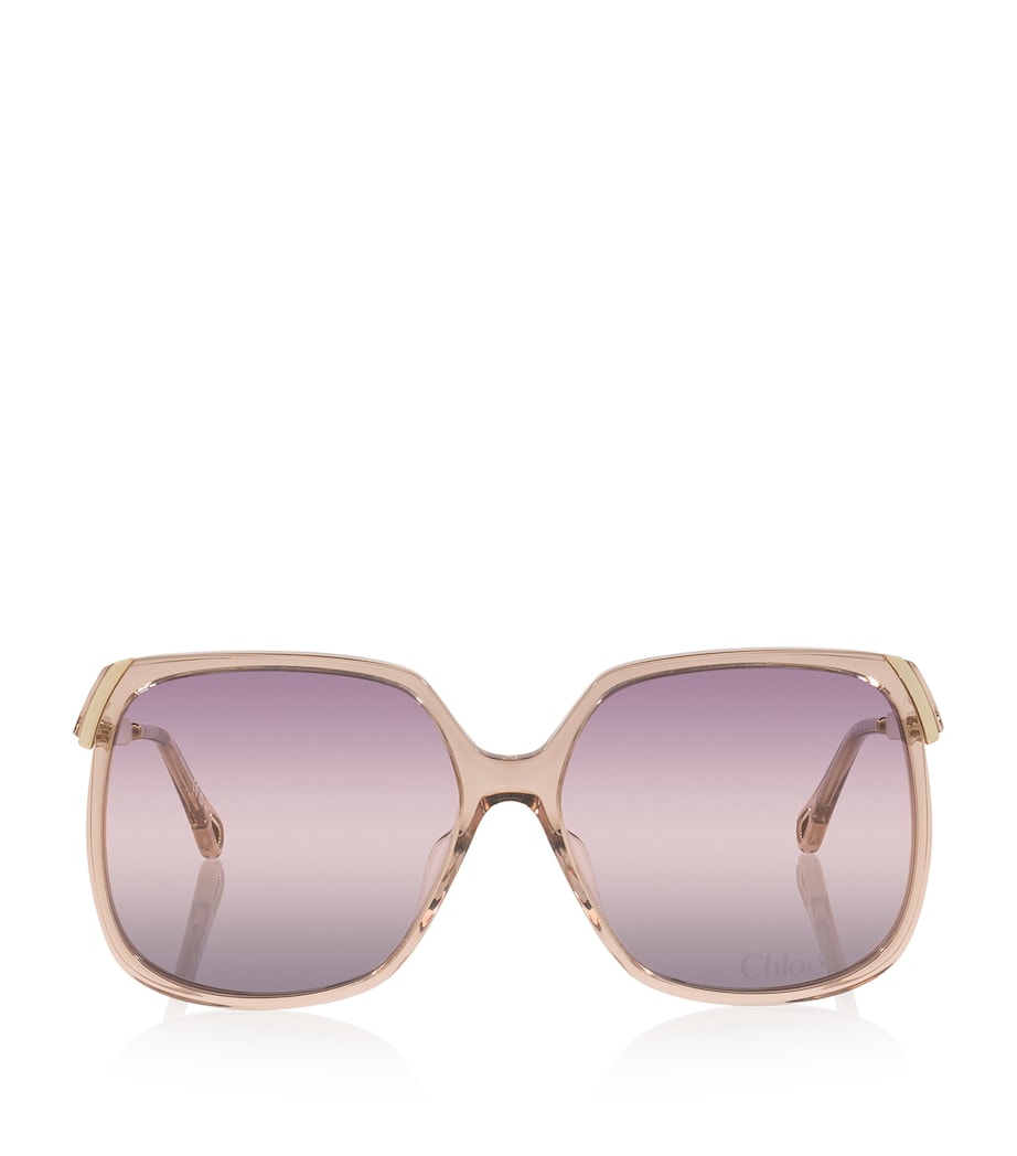 Brown CH0286S Rectangle Sunglasses