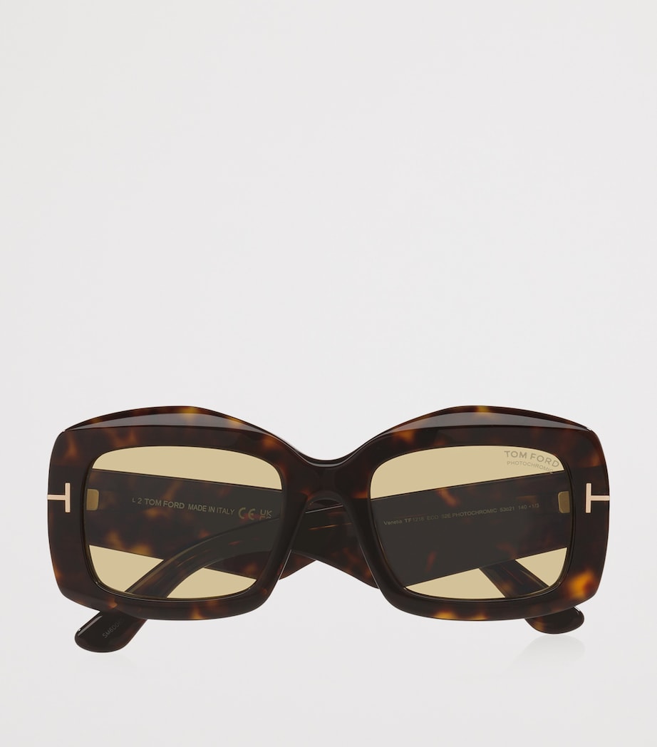 Brown Acetate Venetia Sunglasses