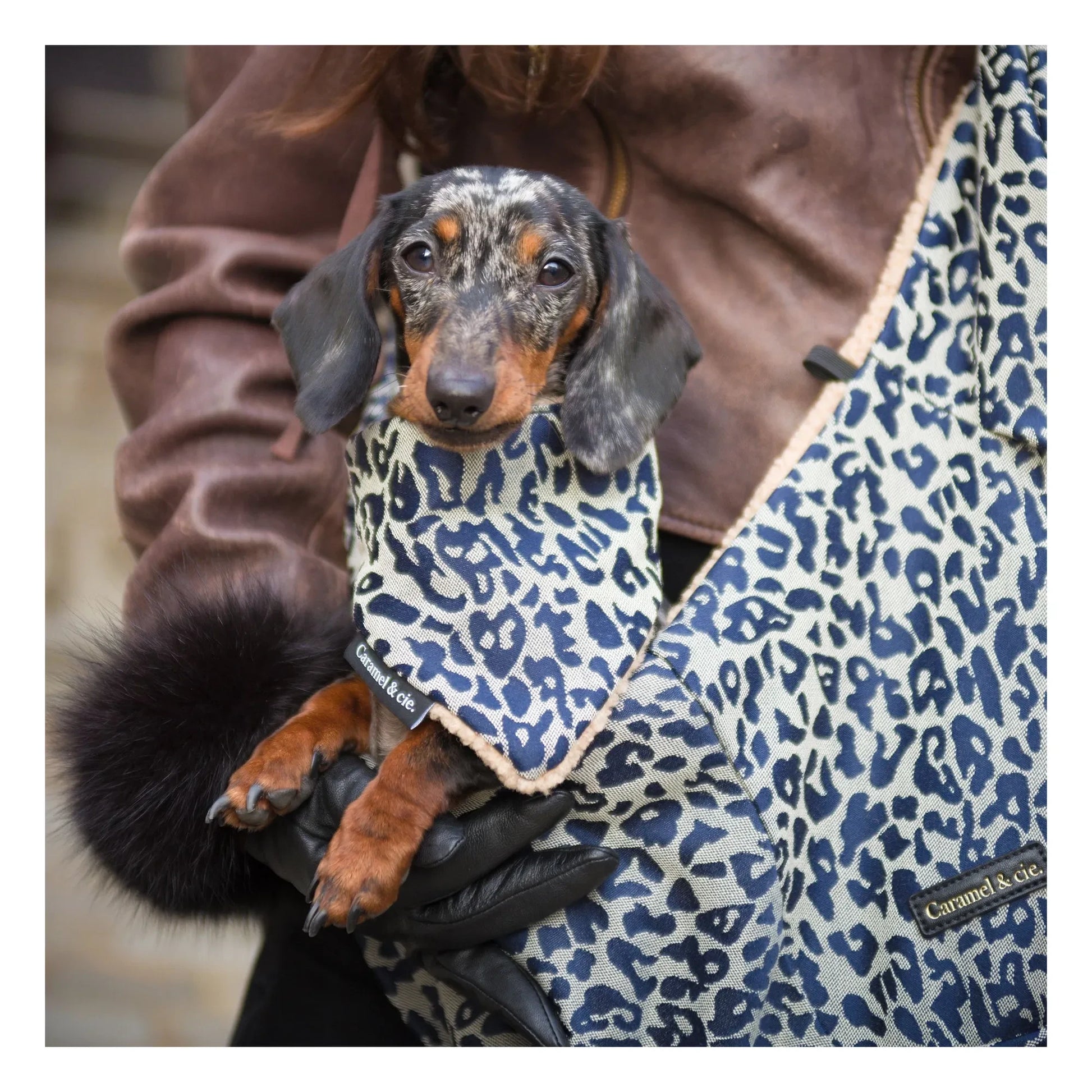 Caramel & Cie - Leopard Dog Bandana | Grey