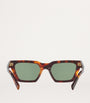 Brown Acetate 0YS000516 Sunglasses