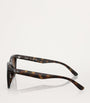 Ray-Ban Brown Injected RB4420 Sunglasses
