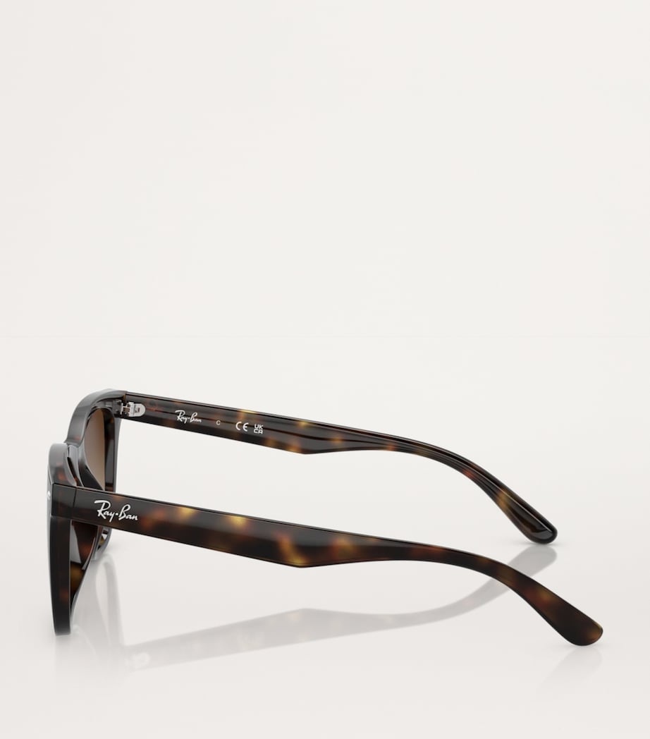 Ray-Ban Brown Injected RB4420 Sunglasses